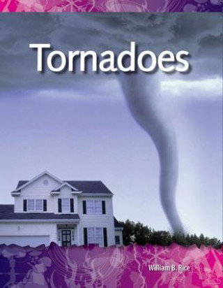 Kniha Tornadoes William B. Rice