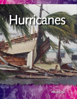 Kniha Hurricanes William B. Rice