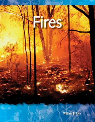 Книга Fires William B. Rice