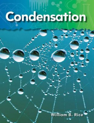 Buch Condensation: Matter William B. Rice