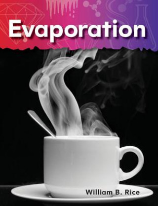 Kniha Evaporation: Matter William B. Rice