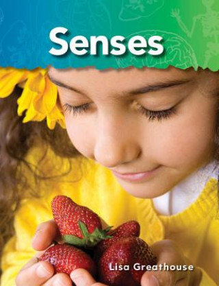 Kniha Senses: The Human Body Lisa Greathouse