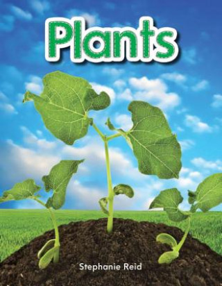 Kniha Plants (Plants) Jodene Lynn Smith
