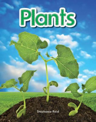 Kniha Plants Lap Book (Plants) Jodene Lynn Smith