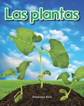 Carte Las Plantas = Plants Stephanie Reid