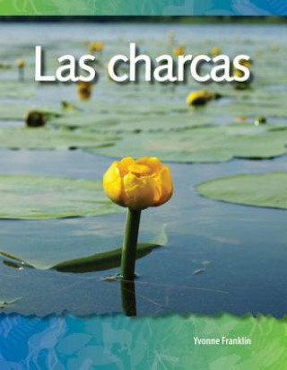 Carte Las Charcas = Ponds Yvonne Franklin