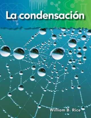 Buch La Condensacion = Condensation William B. Rice