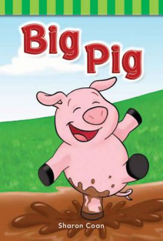 Könyv Big Pig Sharon Coan