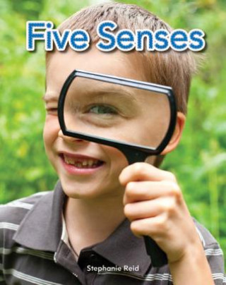 Kniha Five Senses Lap Book (Five Senses) Stephanie Reid