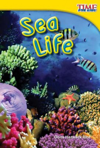 Buch Sea Life Dona Herweck Rice