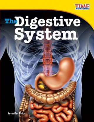 Könyv Digestive System Jennifer Prior