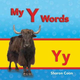 Könyv My y Words (More Consonants, Blends, and Digraphs) Sharon Coan