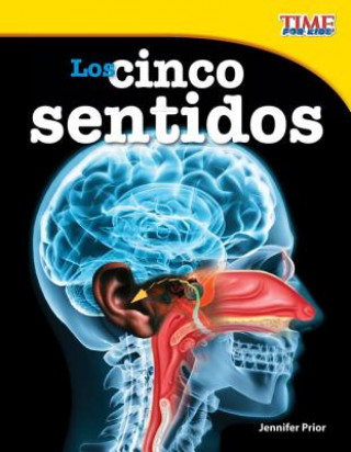 Carte Los Cinco Sentidos (the Five Senses) (Spanish Version) (Fluent Plus) Jennifer Prior