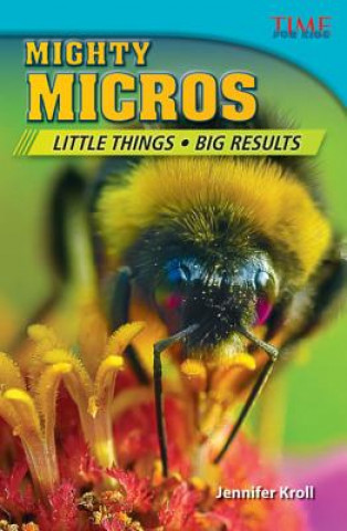 Carte Mighty Micros: Little Things, Big Results Jennifer Kroll