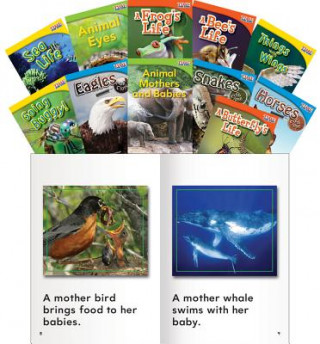 Könyv Animals and Insects, Grades 1-2 Teacher Created Materials