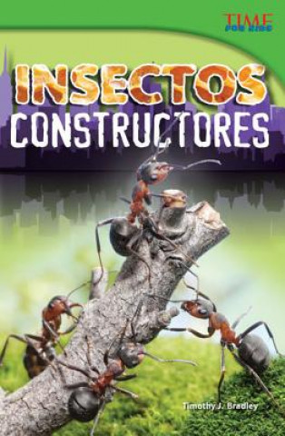 Buch Insectos Constructores = Bug Builders Timothy J. Bradley