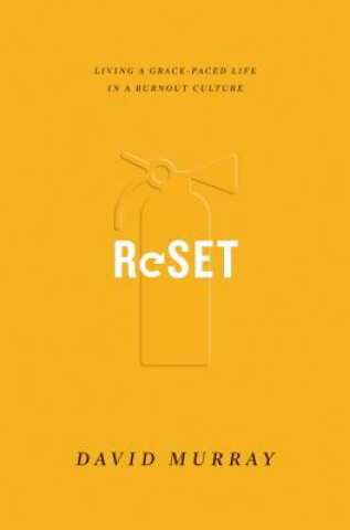 Buch Reset David P. Murray