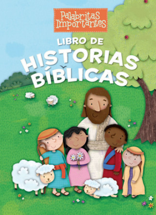 Buch Libro de Historias Biblicas B&h Espanol Editorial