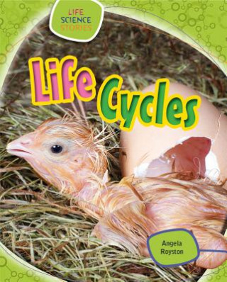 Knjiga Life Cycles Angela Royston