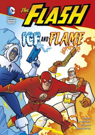 Kniha The Flash: Ice and Flame Jane B. Mason