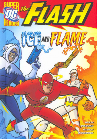 Buch The Flash Complete Series 