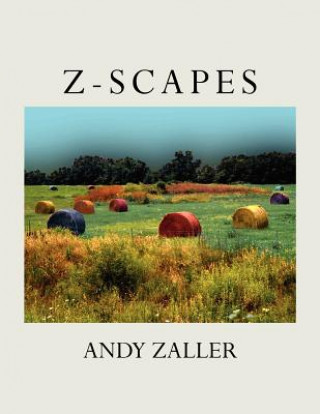 Kniha Z-Scapes Andy Zaller