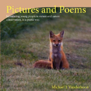 Kniha Pictures and Poems Book 2 Michael J. Vanderhorst