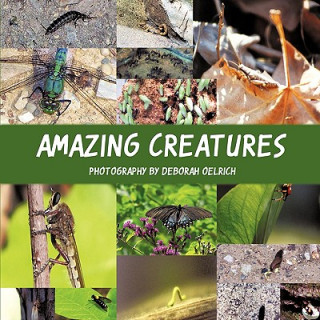 Knjiga Amazing Creatures Deborah Oelrich