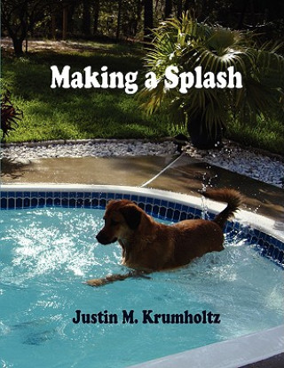 Boek Making a Splash Justin M. Krumholtz