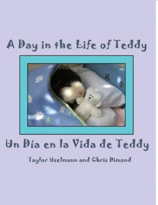 Carte Un Dia En La Vida de Teddy/A Day in the Life of Teddy Taylor Uselmann