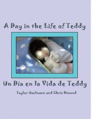 Kniha Un Dia En La Vida de Teddy/A Day in the Life of Teddy Taylor Uselmann