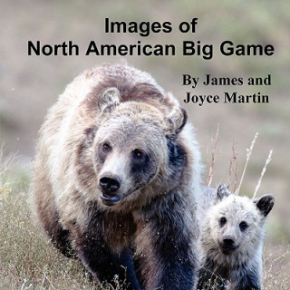 Kniha Images of North American Big Game Joyce Martin