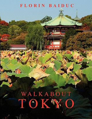 Knjiga Walkabout Tokyo Florin Baiduc