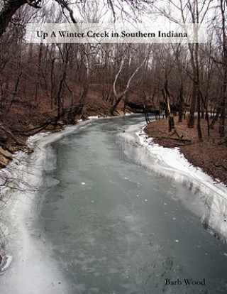 Kniha Up a Winter Creek in Southern Indiana Barb Wood