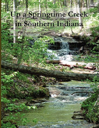Carte Up A Springtime Creek In Southern Indiana Barb Wood