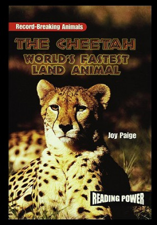 Book The Cheetah: World's Fastest Land Animal Joy Paige