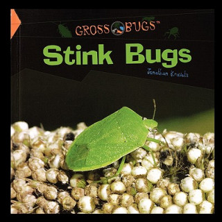 Kniha Stink Bugs Jonathan Kravetz