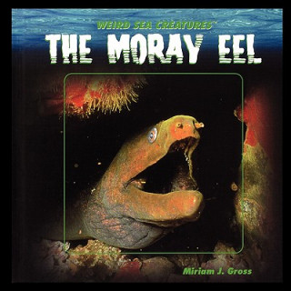 Книга The Moray Eel Miriam Gross