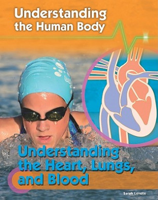 Buch Understanding the Heart, Lungs, and Blood Sarah Levete