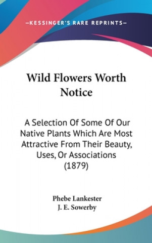 Buch Wild Flowers Worth Notice Phebe Lankester