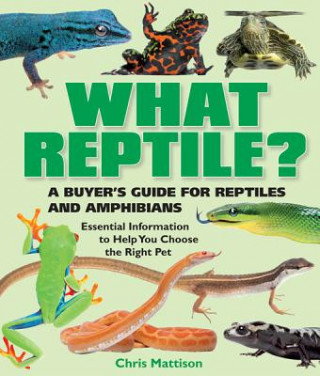 Carte What Reptile?: A Buyer's Guide Christopher Mattison