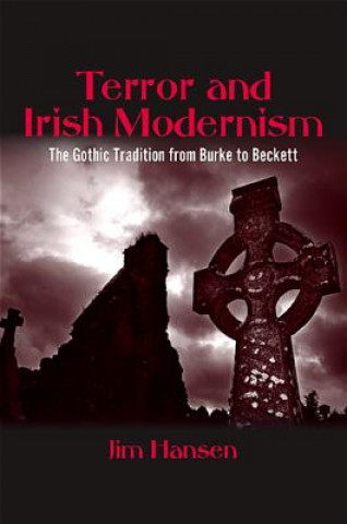 Kniha Terror and Irish Modernism: The Gothic Tradition from Burke to Beckett Jim Hansen