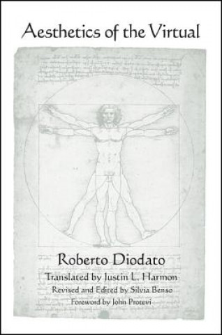 Kniha Aesthetics of the Virtual Roberto Diodato