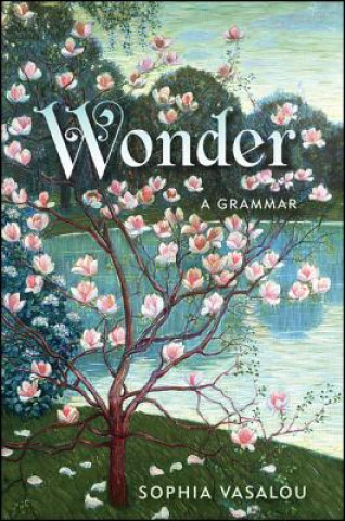 Carte Wonder: A Grammar Sophia Vasalou