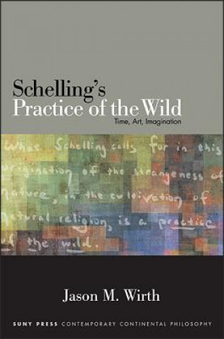 Kniha Schelling's Practice of the Wild: Time, Art, Imagination Jason M. Wirth