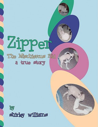 Carte Zipper - The Mischievous Kid Shirley Williams