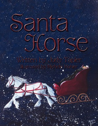 Książka Santa Horse Judy Tapler