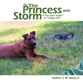 Knjiga Princess and Storm J. W. Garry