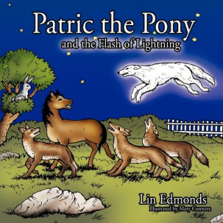 Könyv Patric the Pony and the Flash of Lightning Lin Edmonds