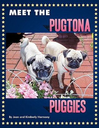 Kniha Meet the Pugtona Puggies Jean Harmony